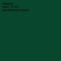 #09462E - Sherwood Green Color Image