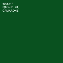 #09511F - Camarone Color Image