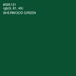 #095131 - Sherwood Green Color Image