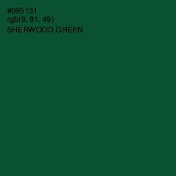 #095131 - Sherwood Green Color Image