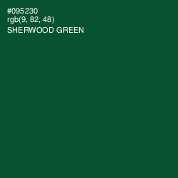 #095230 - Sherwood Green Color Image