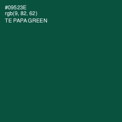 #09523E - Te Papa Green Color Image