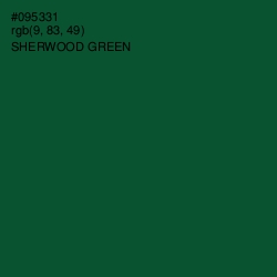 #095331 - Sherwood Green Color Image