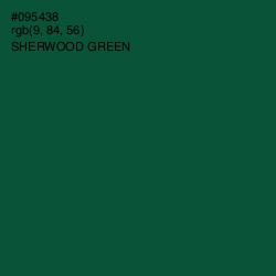 #095438 - Sherwood Green Color Image