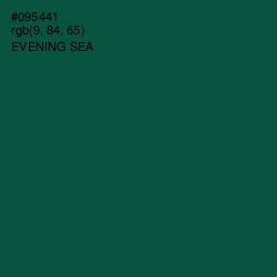 #095441 - Evening Sea Color Image