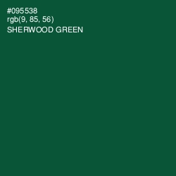 #095538 - Sherwood Green Color Image