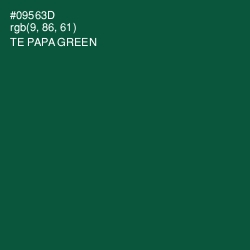 #09563D - Te Papa Green Color Image