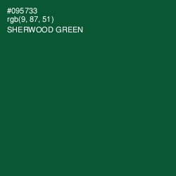 #095733 - Sherwood Green Color Image