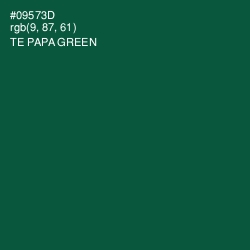 #09573D - Te Papa Green Color Image