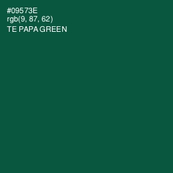 #09573E - Te Papa Green Color Image