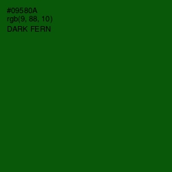 #09580A - Dark Fern Color Image