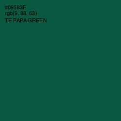 #09583F - Te Papa Green Color Image