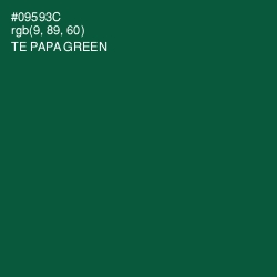 #09593C - Te Papa Green Color Image
