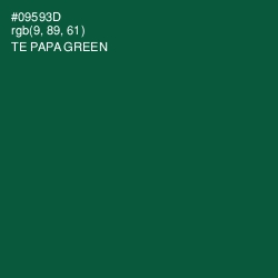 #09593D - Te Papa Green Color Image