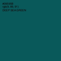 #09595B - Deep Sea Green Color Image