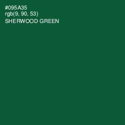 #095A35 - Sherwood Green Color Image