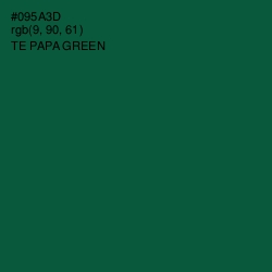 #095A3D - Te Papa Green Color Image