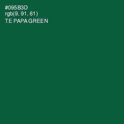 #095B3D - Te Papa Green Color Image