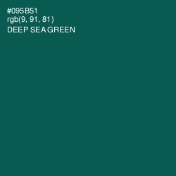 #095B51 - Deep Sea Green Color Image
