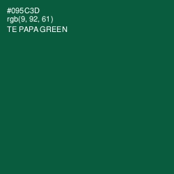 #095C3D - Te Papa Green Color Image