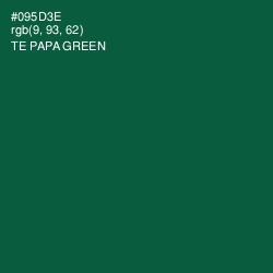 #095D3E - Te Papa Green Color Image