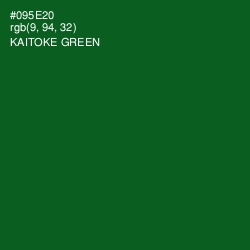 #095E20 - Kaitoke Green Color Image