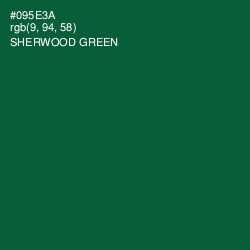 #095E3A - Sherwood Green Color Image