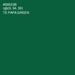 #095E3B - Te Papa Green Color Image