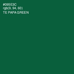 #095E3C - Te Papa Green Color Image