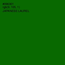 #096901 - Japanese Laurel Color Image