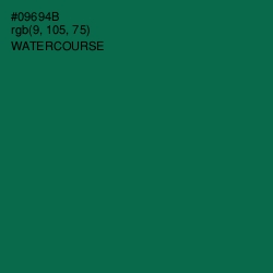 #09694B - Watercourse Color Image