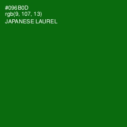 #096B0D - Japanese Laurel Color Image