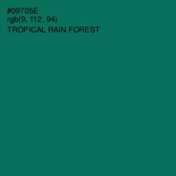 #09705E - Tropical Rain Forest Color Image