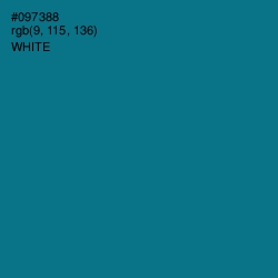 #097388 - Blue Lagoon Color Image