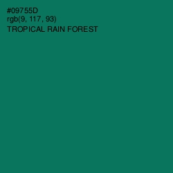 #09755D - Tropical Rain Forest Color Image