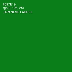 #097E19 - Japanese Laurel Color Image