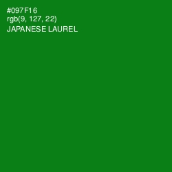 #097F16 - Japanese Laurel Color Image