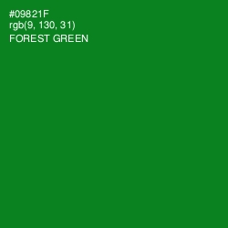 #09821F - Forest Green Color Image