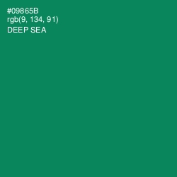 #09865B - Deep Sea Color Image