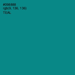 #098888 - Teal Color Image