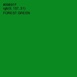 #09891F - Forest Green Color Image