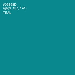 #09898D - Teal Color Image