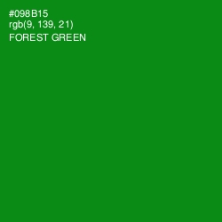 #098B15 - Forest Green Color Image