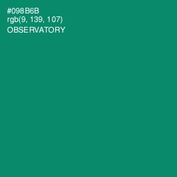 #098B6B - Observatory Color Image