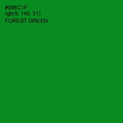 #098C1F - Forest Green Color Image