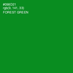 #098D21 - Forest Green Color Image