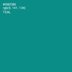 #098D86 - Teal Color Image