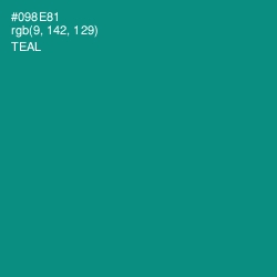 #098E81 - Teal Color Image