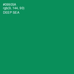 #09905A - Deep Sea Color Image
