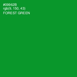 #09962B - Forest Green Color Image